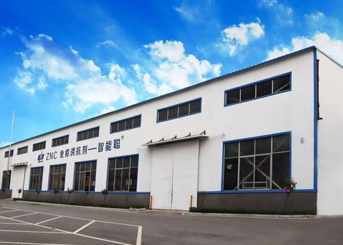 堅持科技創新 驅動企業蓬勃發展的引擎